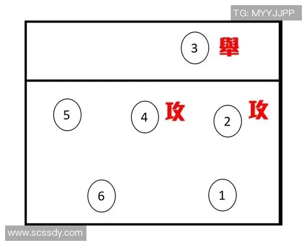 成都排球队的转换打法深度解析与战术应用探讨 成都排球队的转换打法深度解析与战术应用探讨