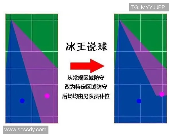 广州羽毛球队转换打法深度分析与战术创新探讨 广州羽毛球队转换打法深度分析与战术创新探讨