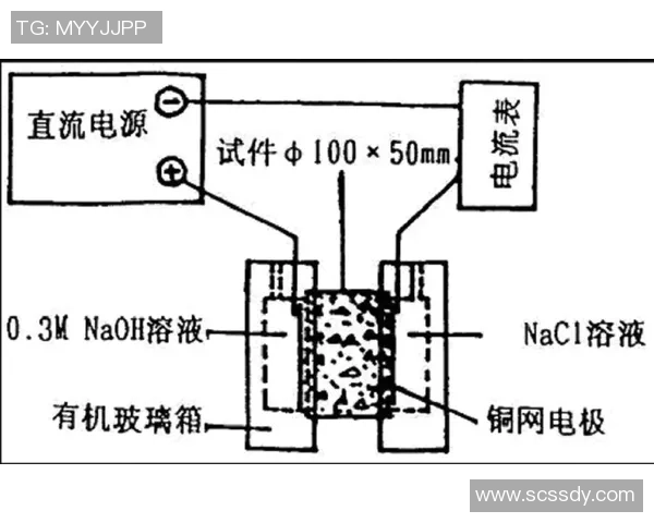 武汉乒乓球队边路渗透战术分析及其对比赛结果的影响探讨 武汉乒乓球队边路渗透战术分析及其对比赛结果的影响探讨