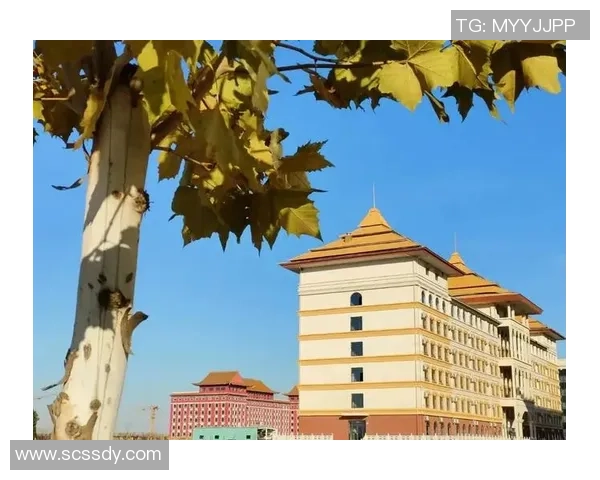 武汉排球队的崛起之路：从默默无闻到联赛强队的成长历程