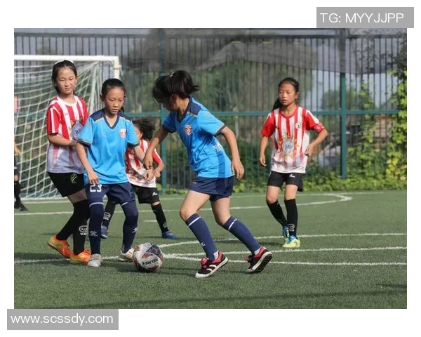 带毅的足球明星如何在绿茵场上展现无与伦比的风采与魅力