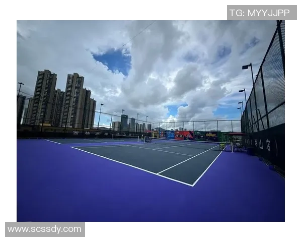 深圳网球队的转型升级之路:从传统到现代的全面革新探索 深圳网球队的转型升级之路:从传统到现代的全面革新探索