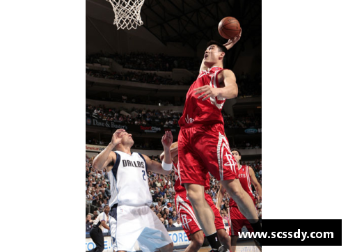 NBA明星的奋斗与荣耀：励志故事集