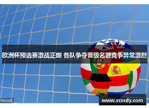 欧洲杯预选赛激战正酣 各队争夺晋级名额竞争异常激烈