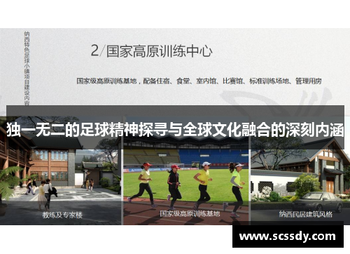 独一无二的足球精神探寻与全球文化融合的深刻内涵