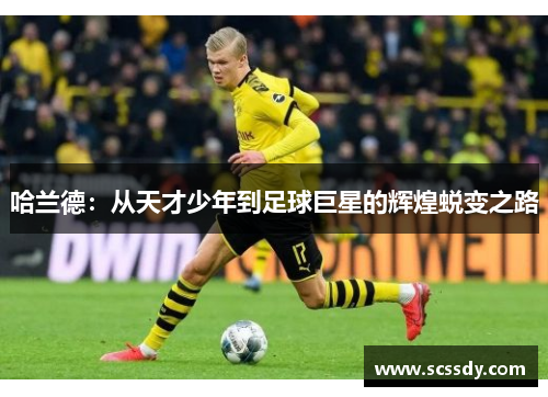 哈兰德：从天才少年到足球巨星的辉煌蜕变之路